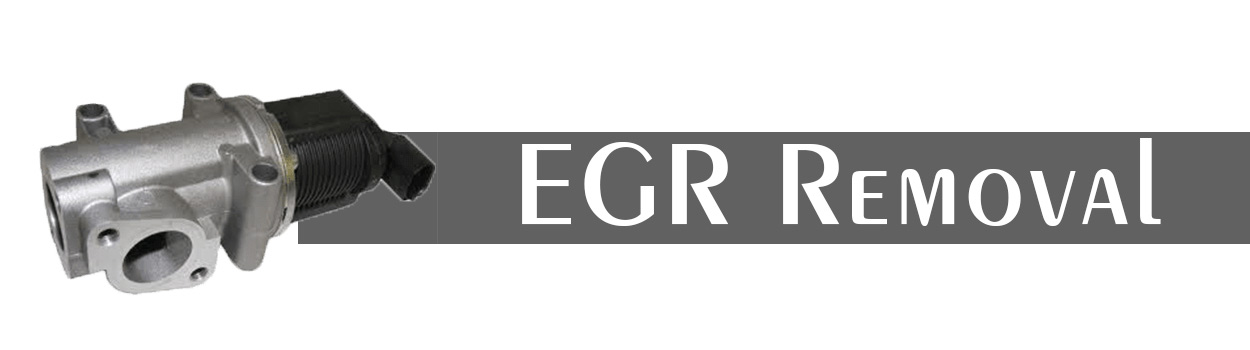 EGR Removal